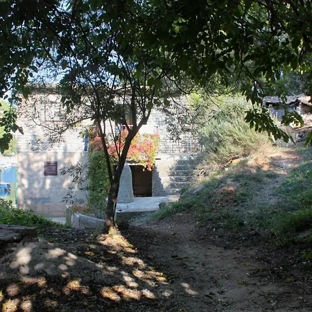 By The Sea Basina, Hvar - 9673